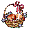 pupbasket.gif